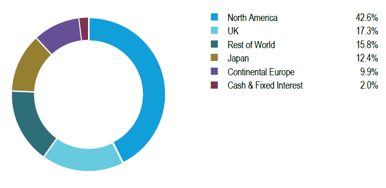 Geographical Breakdown The Global Smaller Companies Trust February 2026